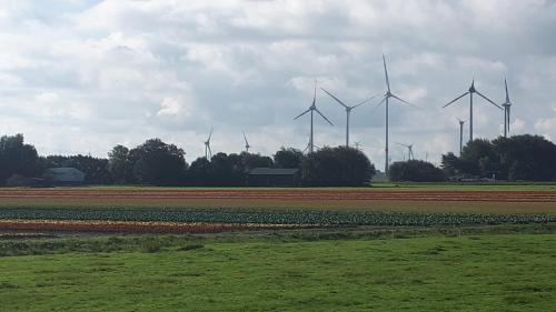 Ferienhof Martens - image 3