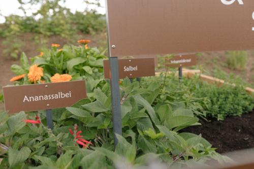 Viesnīcas āriene, Ferienwohnung Wold Wieserhof in Aldino