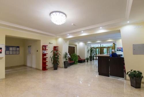 Apartment Svetlana-Center