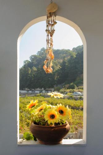  pansion maria in Ágios Konstantínos