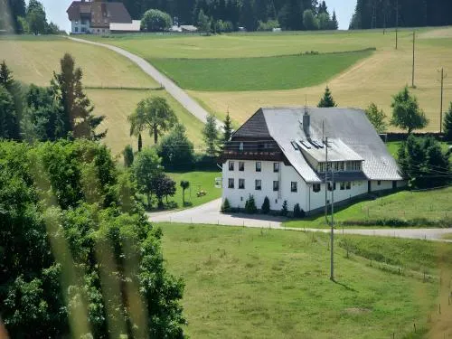 Gasthaus-pension zum Löwen in Grafenhausen, Deutschland