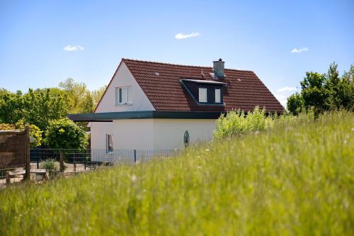 Viesnīcas āriene, Ferienhaus Deich Auf in Wesselburenerkoog