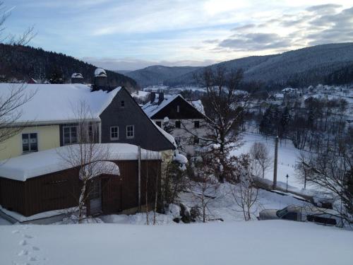 Viesnīcas āriene, Ferienhaus zum Grünen Hirsch Stolln (Ferienhaus zum Grunen Hirsch Stolln) in Breitenbrunn/Erzgeb.
