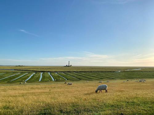 Viesnīcas āriene, Knutzenswarft - Strandläufer (Knutzenswarft - Strandlaufer) in Westerhever