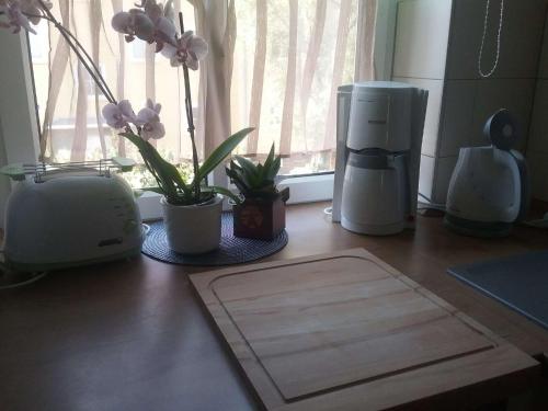 Kleine gemütliche Wohnung In Erfurt - image 5