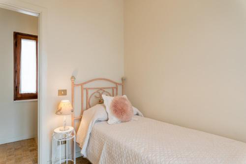  Sassi Scritti - Abete Bianco in Montefegatesi