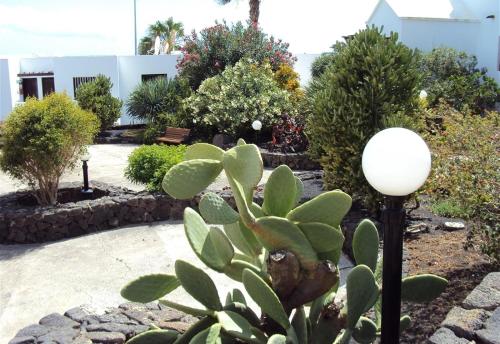 Las Tabaibas, Puerto del Carmen (foto 6)
