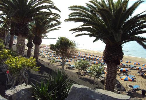 Las Tabaibas 5