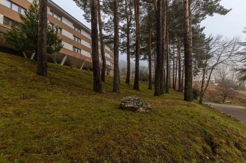 A szálláshely kívülről, Loft Relajante Est esquí La Pinilla (Loft Relajante Est esqui La Pinilla) in Cerezo De Abajo