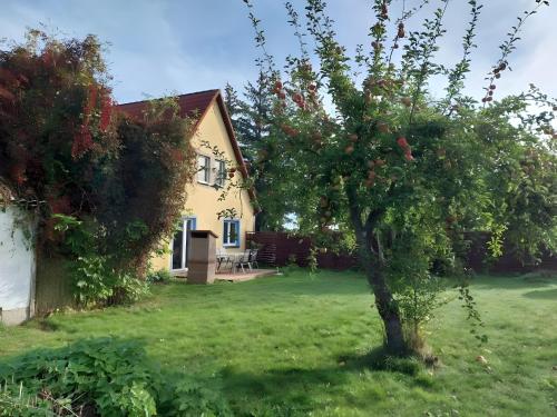 Ferienwohnung Naturglück in Sundhagen, Deutschland