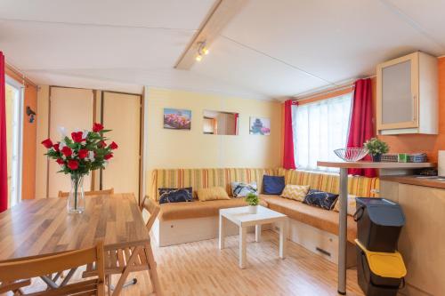 Viesnīcas āriene, mobile-home camping de la truite in Ascarat