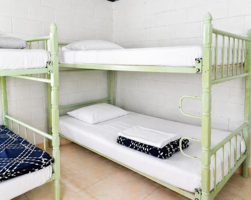Casita entera en Salento para 10 personas cerca a la plaza, Salento (Foto 5)