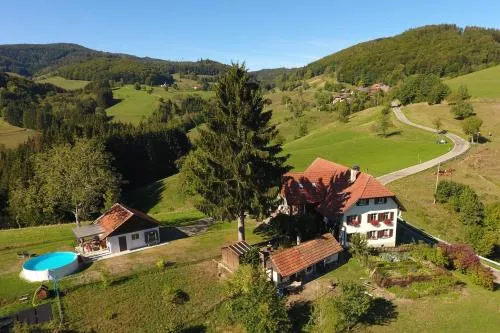 Ferienwohnung 'auf dem Burstel' in Kleines Wiesental, Deutschland