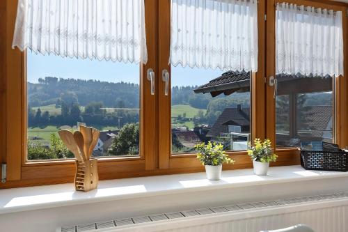 Rinderle in Stockach, Deutschland