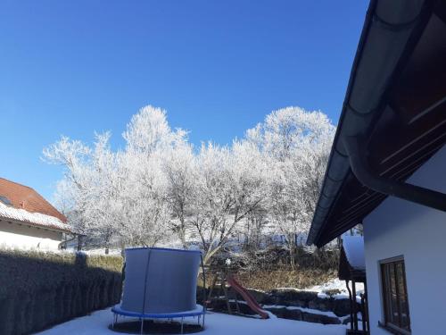 Mayntz' Albjuwel - Beuron