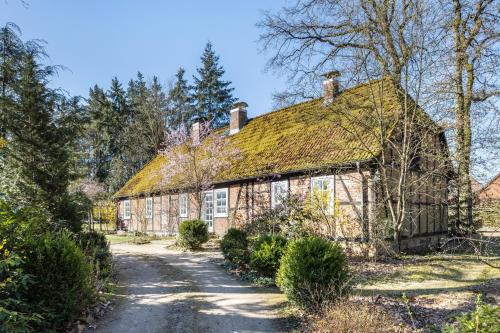 外部景觀, Heidehygge - Ferienhaus mit Wald in 艾姆克
