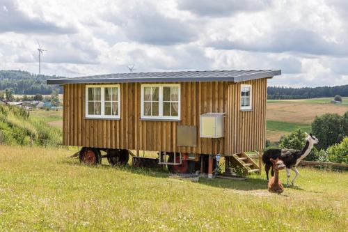 A szálláshely kívülről, Tinyhouse Alpakawiese in Schlitz