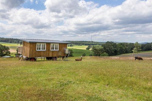 A szálláshely kívülről, Tinyhouse Alpakawiese in Schlitz