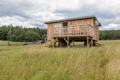 A szálláshely kívülről, Tinyhouse Alpakawiese in Schlitz