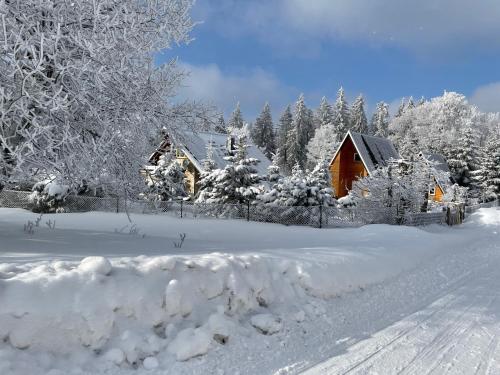 ทัศนียภาพภายนอกโรงแรม, Ferienwohnung Beyer Friedrichroda in ฟรีดไรชโรดา