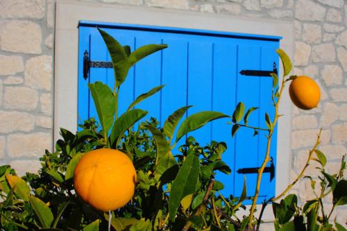 Holiday Home Olea - Sun Sea Sport & Comfort - image 4