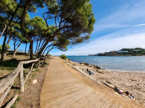 Cargol de mar - image 3