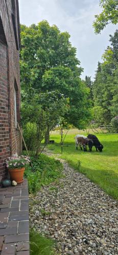 Hotelli välisilme, Ferienwohnung Wiesmoor - Ranch in Wiesmoor