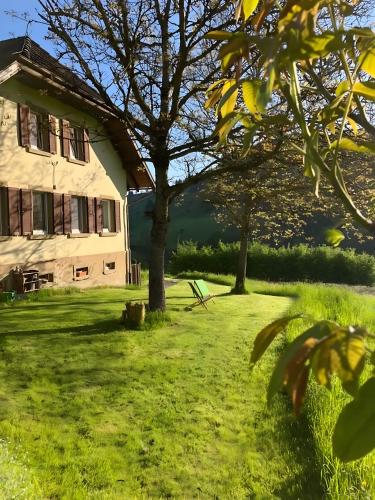 Auszeit im Waldhaus in Biederbach Baden-Württemberg, Deutschland