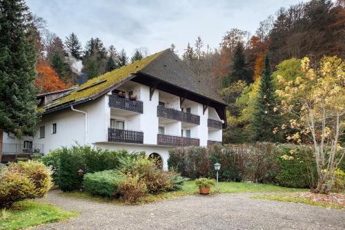 Ferienwohnung Bergblick in Triberg im Schwarzwald, Deutschland