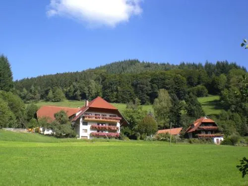 Geigerbauernhof in Mühlenbach, Deutschland
