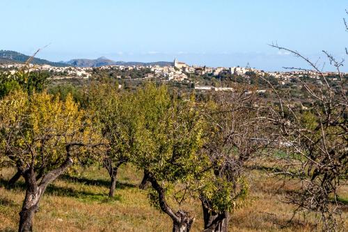 Villa Sastre - image 10
