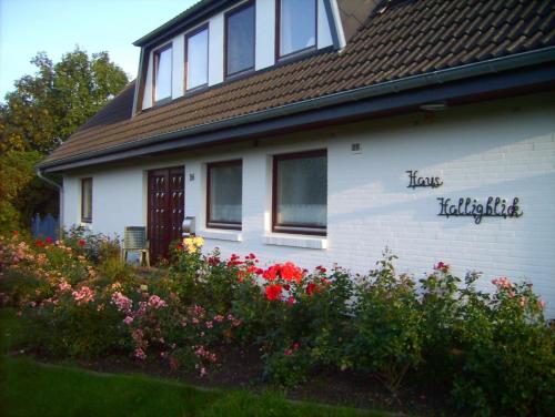 Haus Halligblick