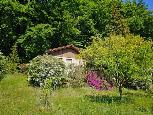 Ferienhaus am Wald mit Südblick in Steina, Deutschland