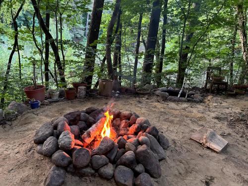 A szálláshely kívülről, Bungalow im Wald am See - Biberspur in Coswig (Anhalt)