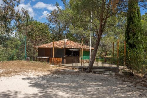 Restanques de Saint Tropez - arums - image 5