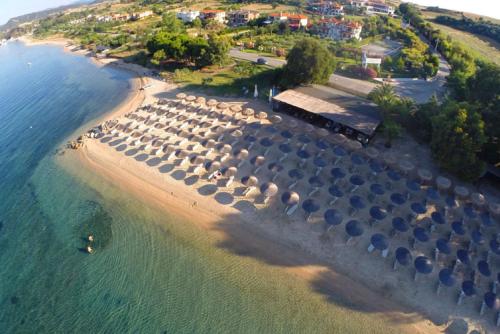 Studios Tripiti