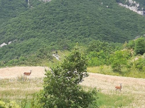 Viesnīcas āriene, Nel cuore della maiella in Penapiedimonte