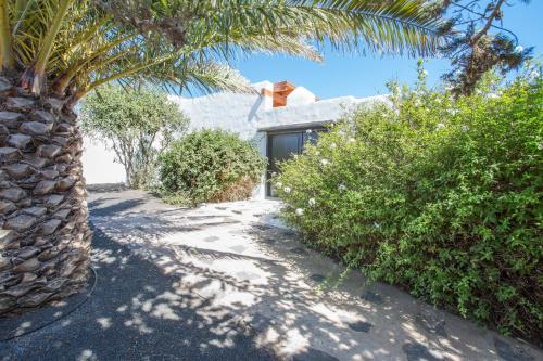 CASA EL QUINTO - image 28