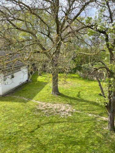 Viesnīcas āriene, Kleines Haus am Feld in Rehna