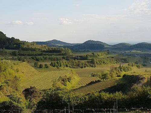 Feriendomizil Bergamini - image 21