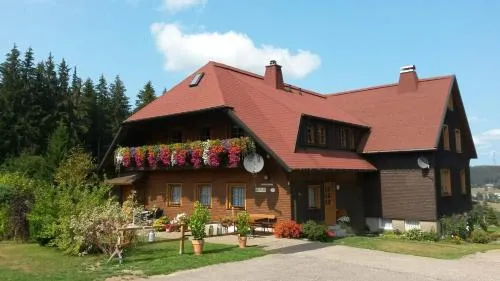 Ferienwohnung Reiner in Schonach, Deutschland