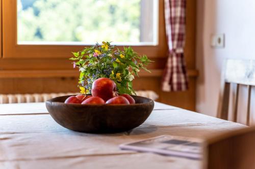 Mayrhof Apartment Tanne in St. Pankraz