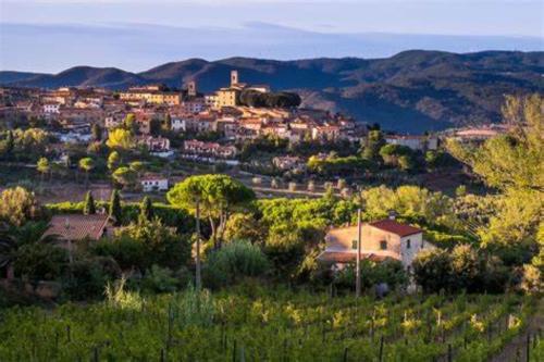 L'incanto gîte à louer Montescudaio