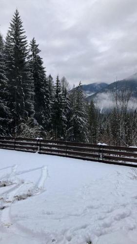 Viesnīcas āriene, Casa Fiocco di Neve in Vigo Di Cadore