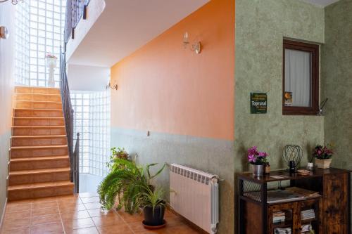 Viesnīcas āriene, La Casa de Dafne Acebo in Santo Tomé del Puerto