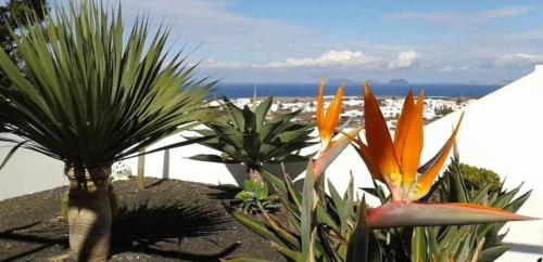 Casa Lancelot gîte à louer Tinajo