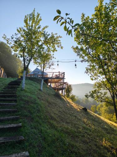 Lazy Dreams Voia Glamping - Cort Panorama