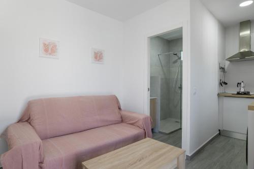 Estudio el Mirlo - image 2