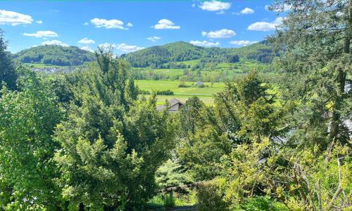 Vista exterior, Terrasse mit Ausblick in Biedenkopf