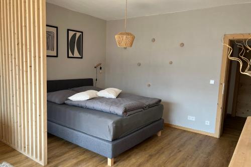 Valentin36 Apartment Geisler